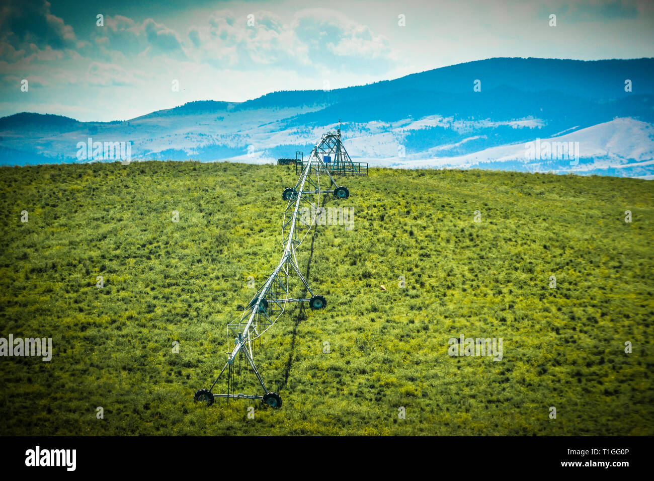 A low-pressure center-pivot irrigation system on a hill in a green field with Mountains in background in Montana Stock Photo