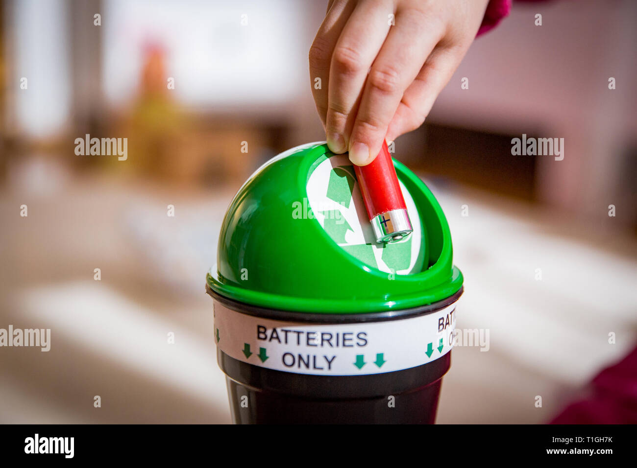 Little girl putting used batteries into recycling box at home. Child in the house room separating waste. Batteries Only. Stock Photo