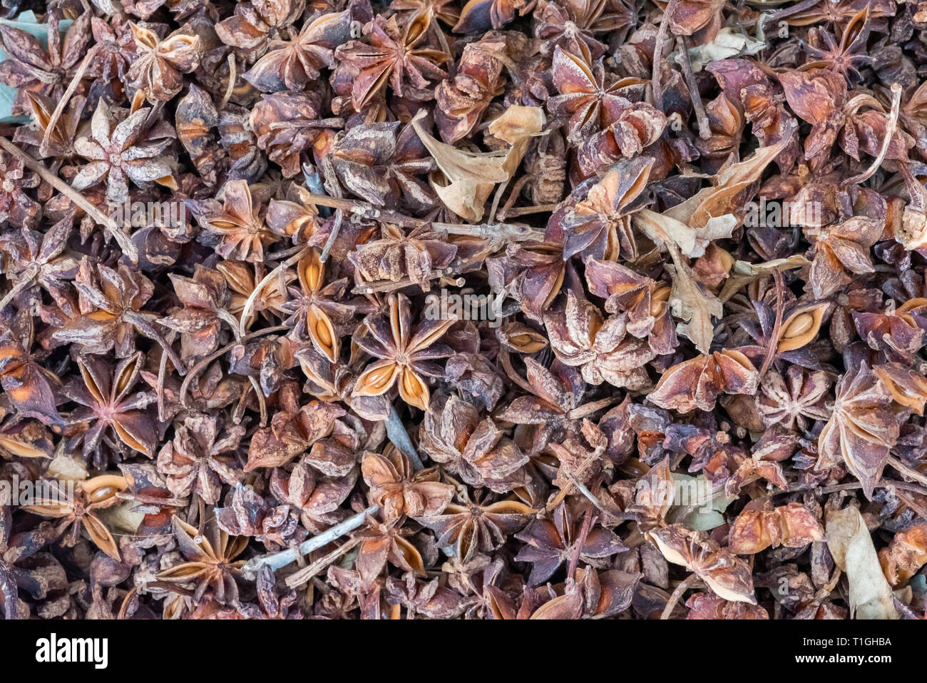 Anise stars heap in a chinese market in Chengdu, China Stock Photo Alamy