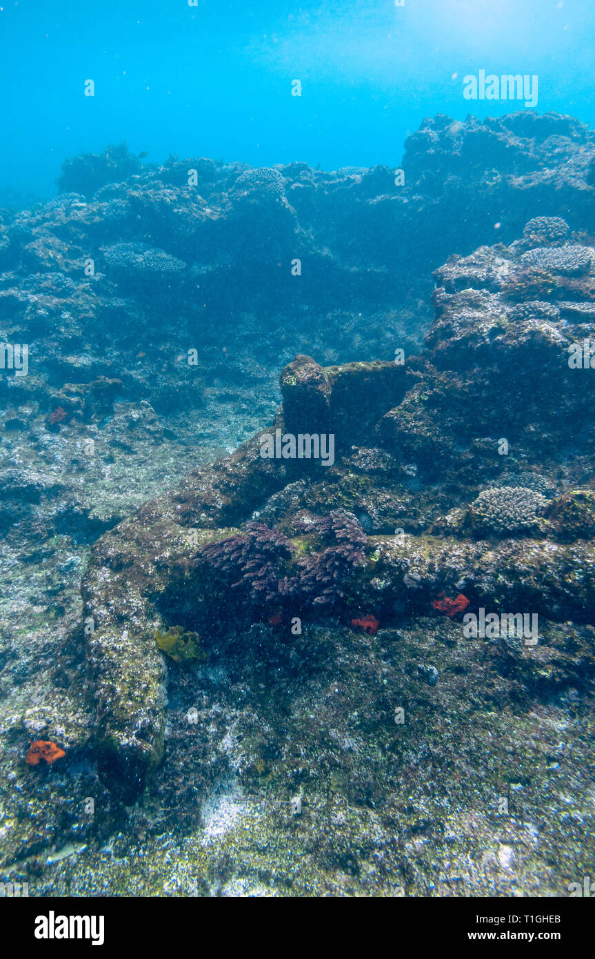 Site of the Batavia shipwreck on Morning reef in the Wallabi Group of the Houtman Abrolhos. On June 4, 1629 the Dutch East India Company (VOC) ship Ba Stock Photo