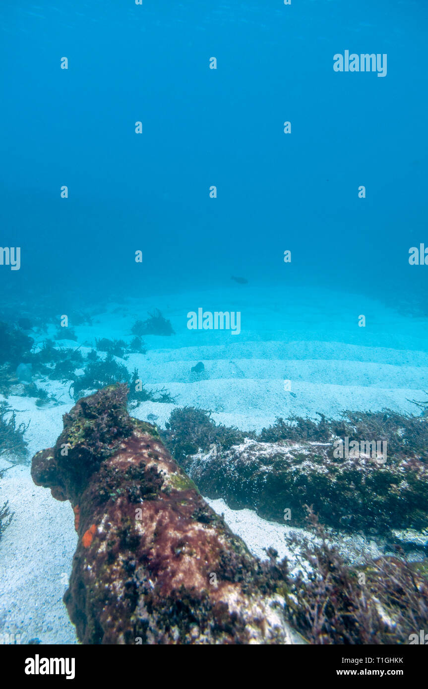 Site of the Batavia shipwreck on Morning reef in the Wallabi Group of the Houtman Abrolhos. On June 4, 1629 the Dutch East India Company (VOC) ship Ba Stock Photo