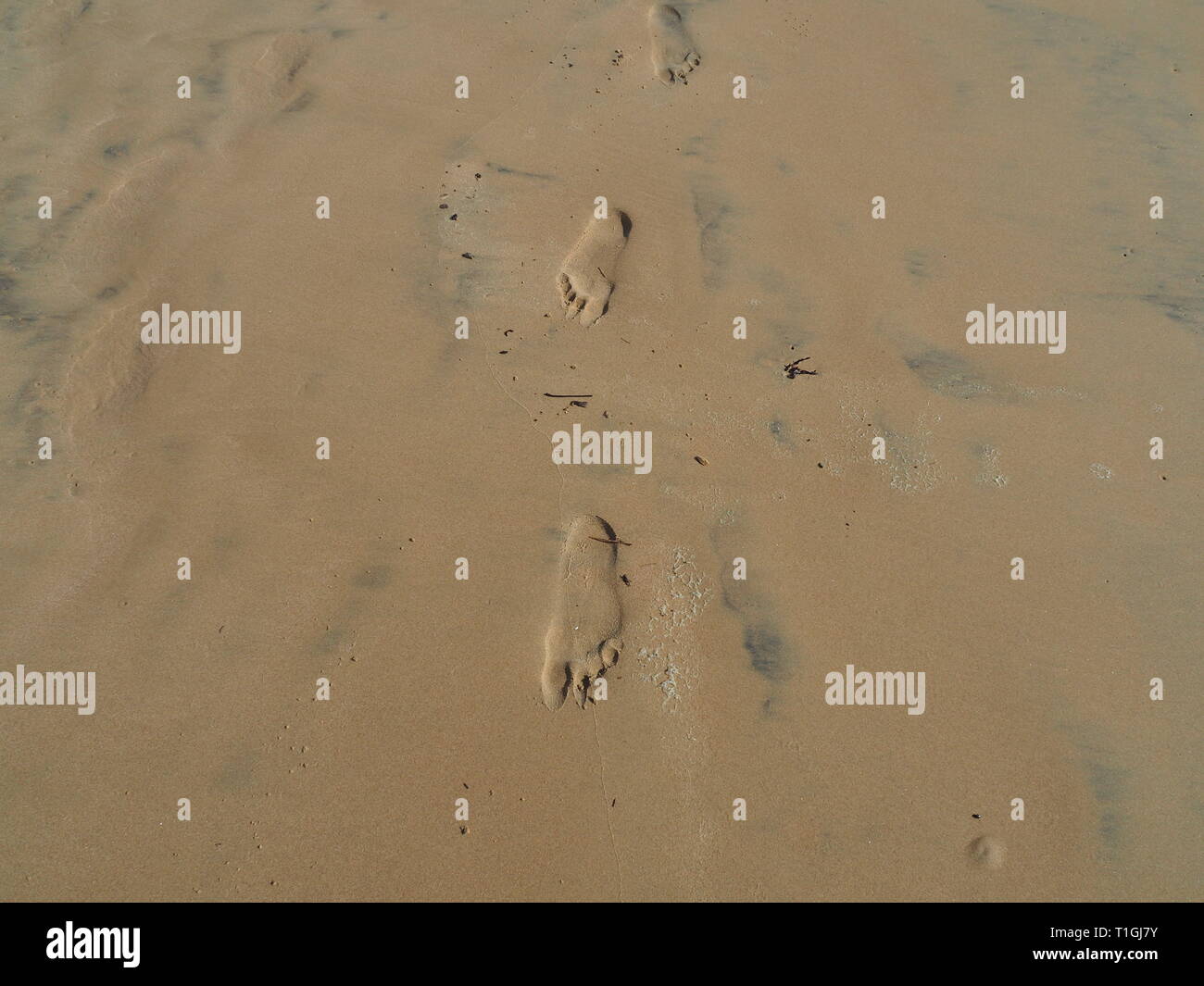 Feet going somewhere. Human foot prints in the sand on Australian beach