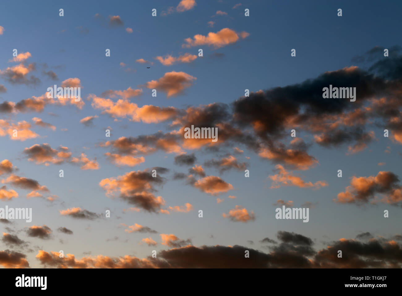 Beautiful Blue Sky With Some Dramatic Clouds Just Before Sunset You Can See The Dark Clouds And Plenty Of Colors Like Orange Pink And Yellow Stock Photo Alamy Beautiful Blue Sky With Some Dramatic Clouds Just Before Sunset You Can See The Dark Clouds And Plenty Of Colors Like Orange Pink And Yellow Stock Photo Alamy