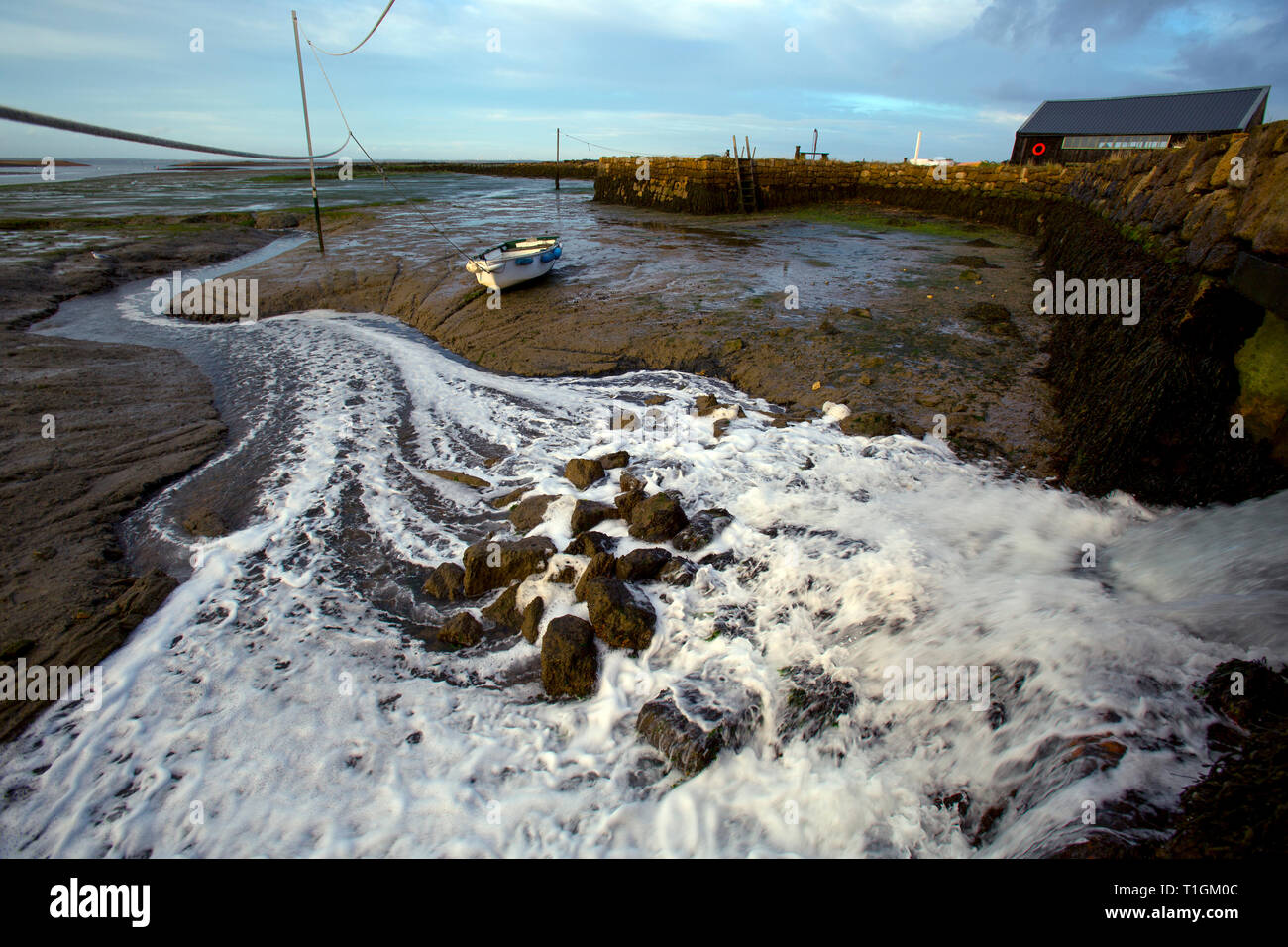 Tidal gully hires stock photography and images Alamy