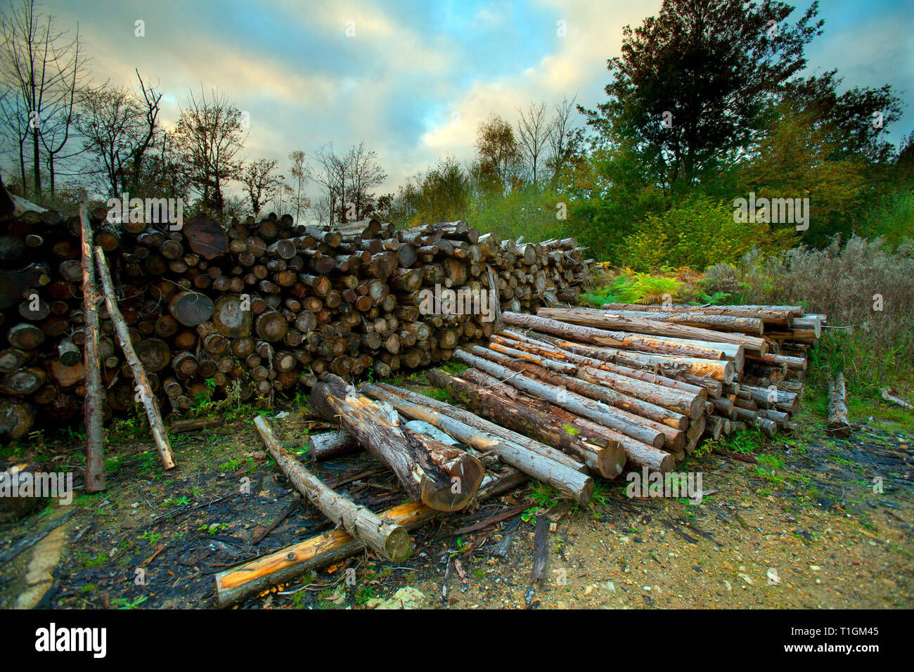 Farmimg and wildlife hires stock photography and images Alamy