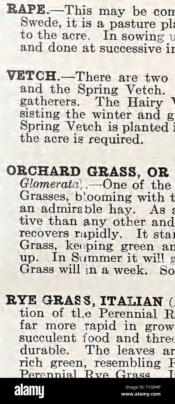 Landreth Name Vintage botanical catalog page hi-res stock photography and images - Alamy