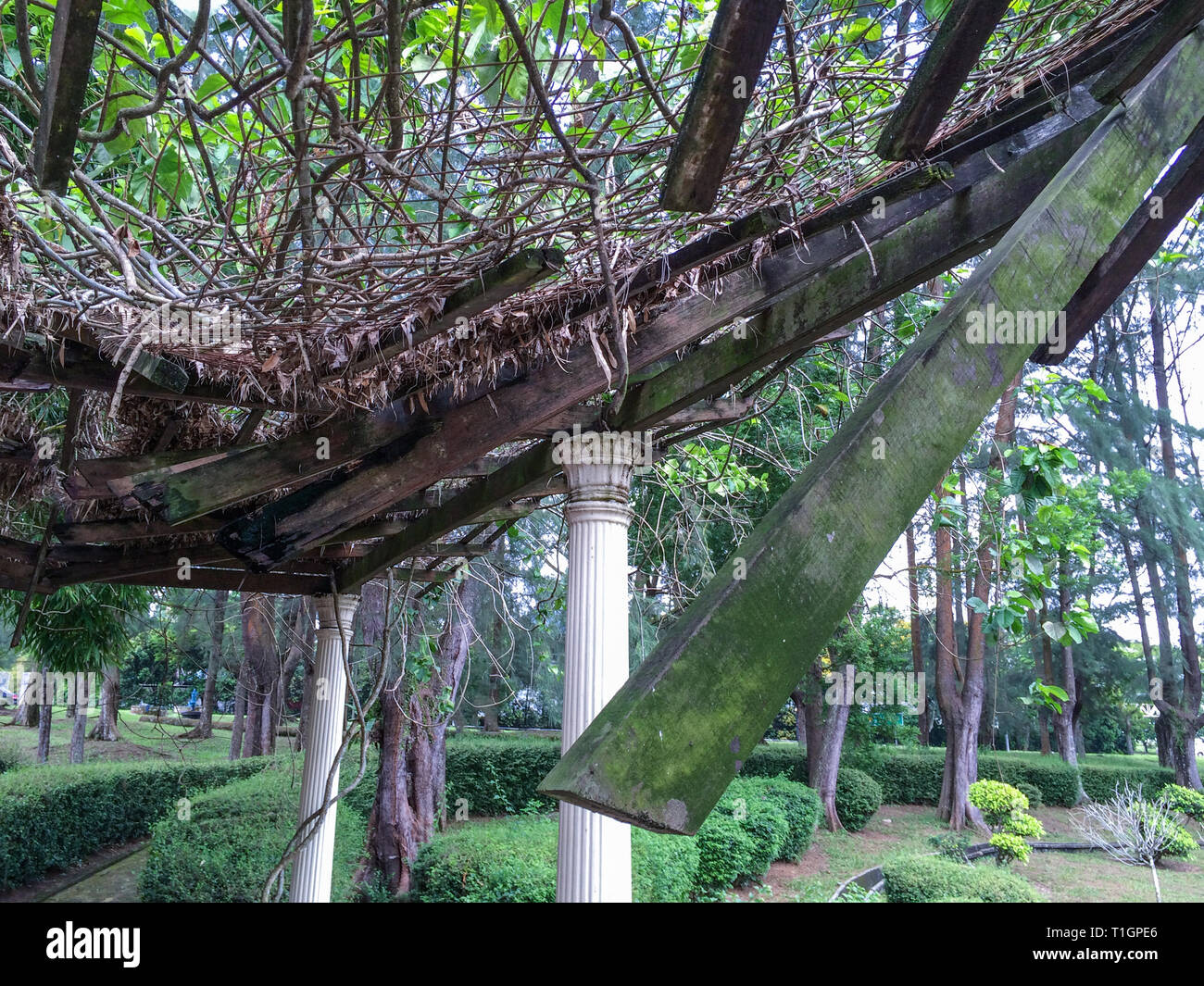 Health and safety issues in a public park, Iskandar Puteri, Malaysia