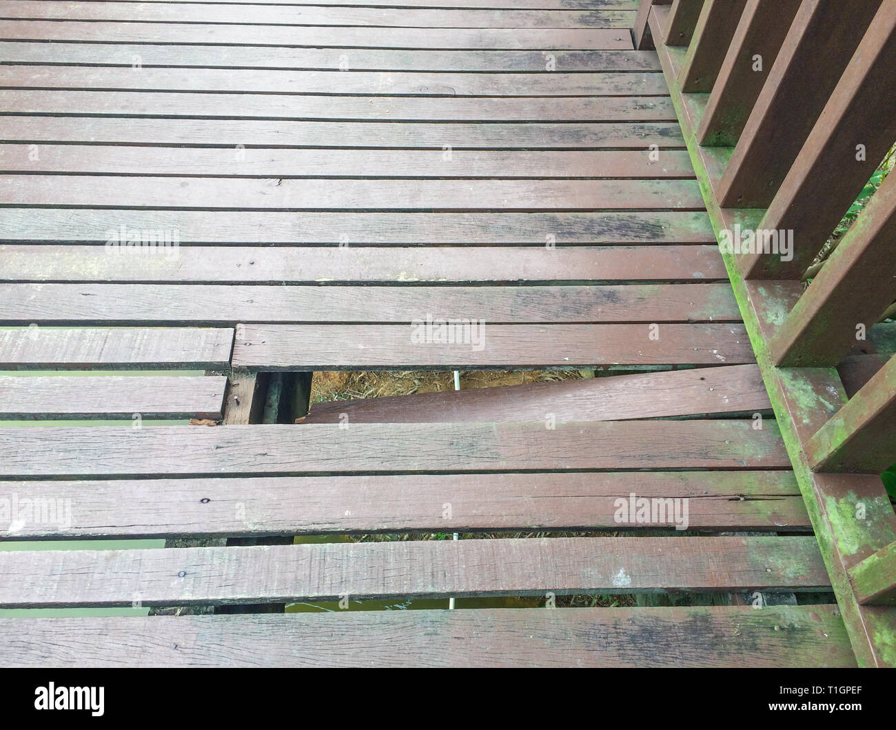 Health and safety issues in a public park, Iskandar Puteri, Malaysia