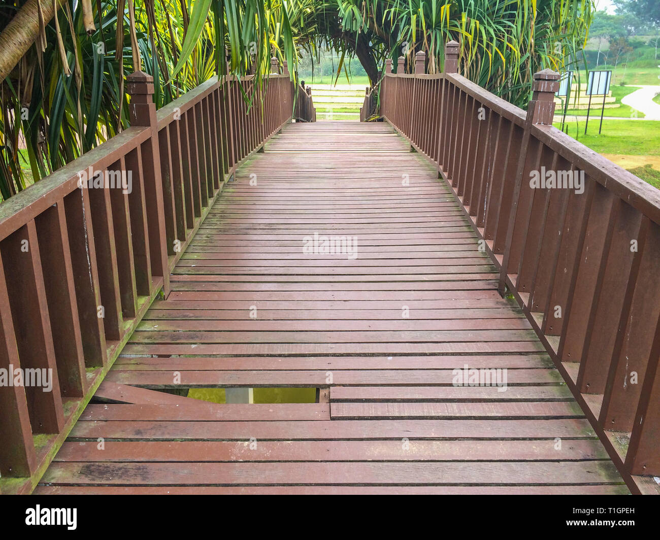 Health and safety issues in a public park, Iskandar Puteri, Malaysia