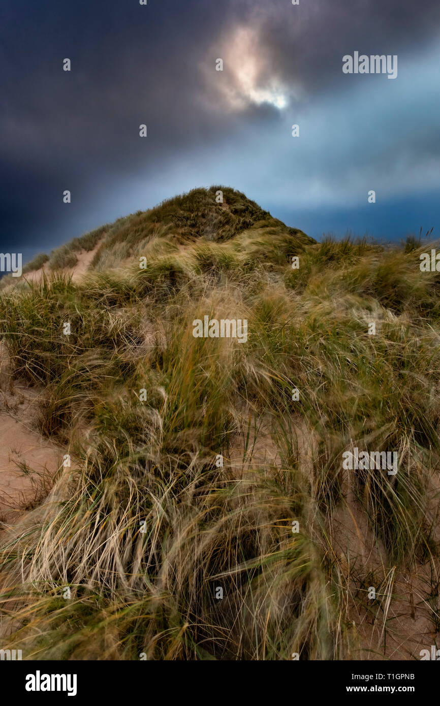Mountain of Marram, Marram Grass Dune, Balnakeil Beach, near Durness,  Sutherland, North West Scottish Highlands, Scotland, UK Stock Photo