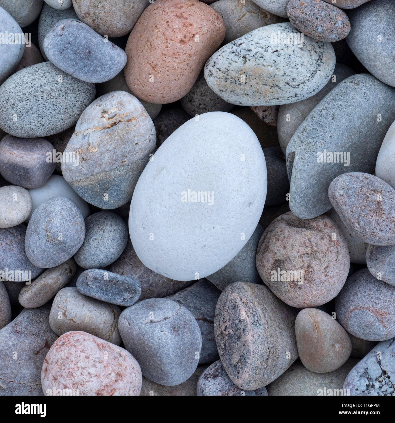 The Egg, Pebble Beach at Spey Bay, Moray Coast, North Eastern Scotland, UK Stock Photo
