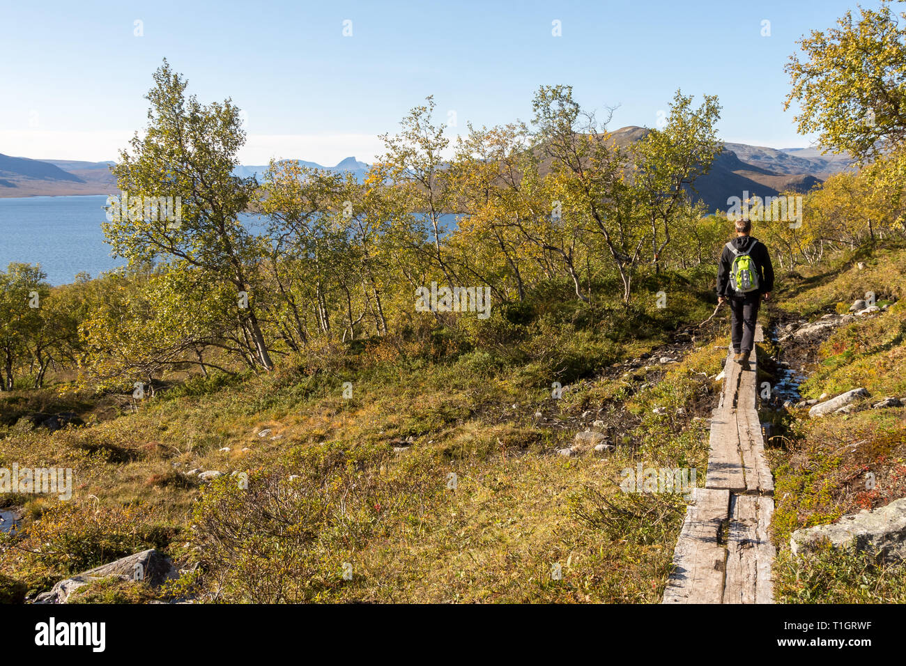 A trekker in Lapland, Finland Stock Photo