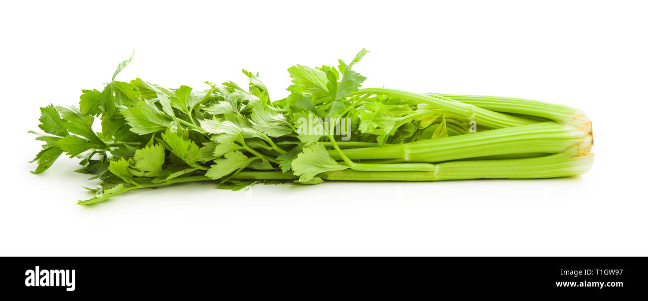 Bunch of fresh celery stalk isolated on white background Stock Photo