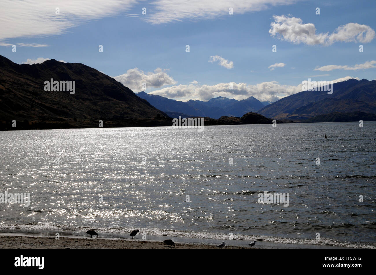 View of Lake Wanaka from the centre of town. Stock Photo