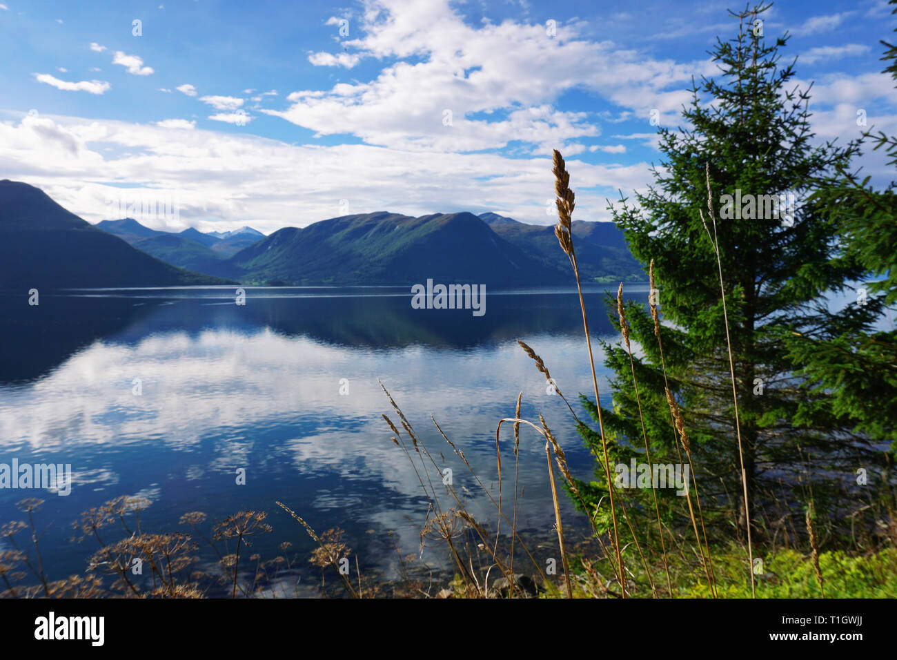 Lake panorama in norway Stock Photo