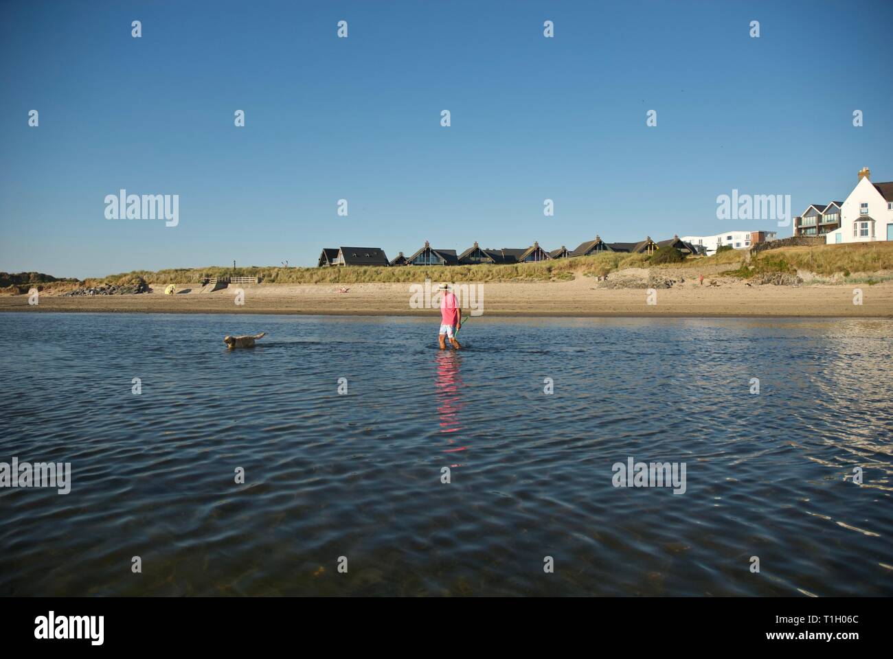Distant figures walking their dogs on the beach, Rhosneigr, Anglesey, North Wales, UK Stock Photo