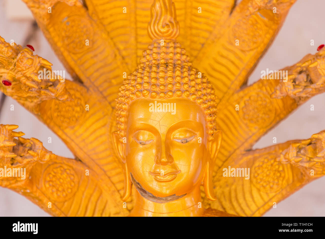 Buddha in meditation posture hi-res stock photography and images - Page 2 -  Alamy