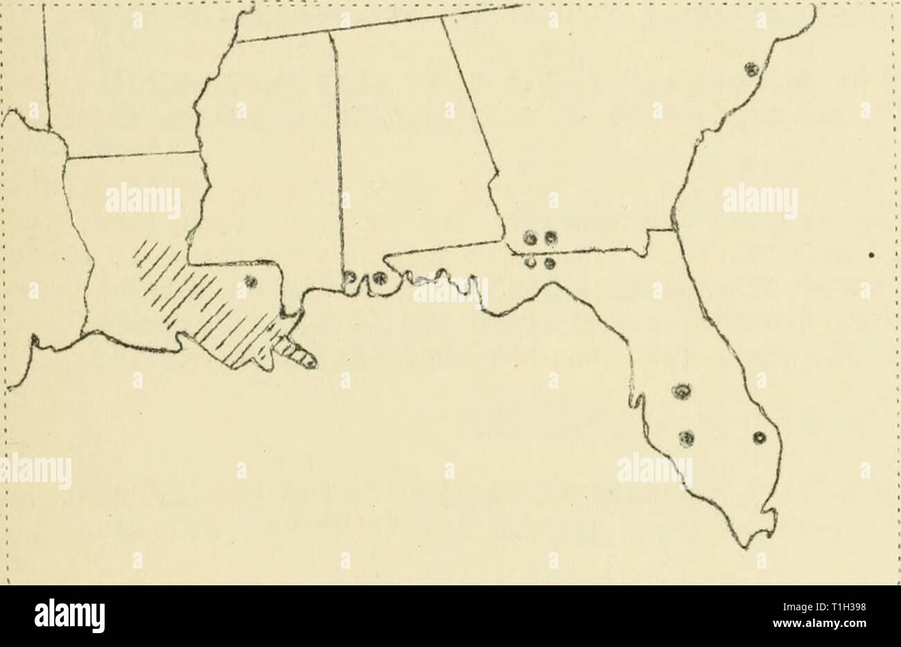 Diseases of cotton, sugar cane, Diseases of cotton, sugar cane, forest trees, ornamentals and miscellaneous plants in the United States in 1919  diseasesofcotton11mart Year: 1920  Red rot and red stripe were reported from Georgia, Florida, Alatama, Louisiana and Texas. In Louisiana the disease was prevalent. In Alatama it was atundant. Pit.. 5*. Showing the location of areas of red rot in the southern cane belt. Sheath rot caused by Sclerotium rolfsii Sacc,    Sheath rot was i-eported froia Geort;ia, Florida, Alabama and Louisiana. As shown in Pi. 53 i'*'- as very prev- alent over a larie area Stock Photo