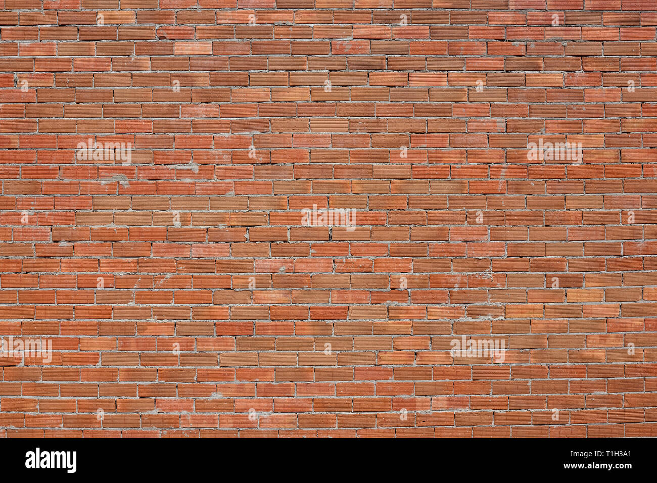 Brick wall as backgound. Stock Photo