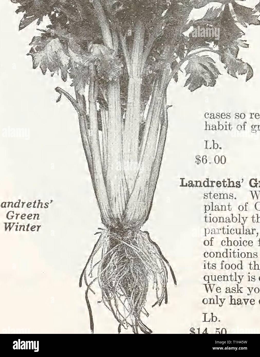 Landreth seed hires stock photography and images Alamy