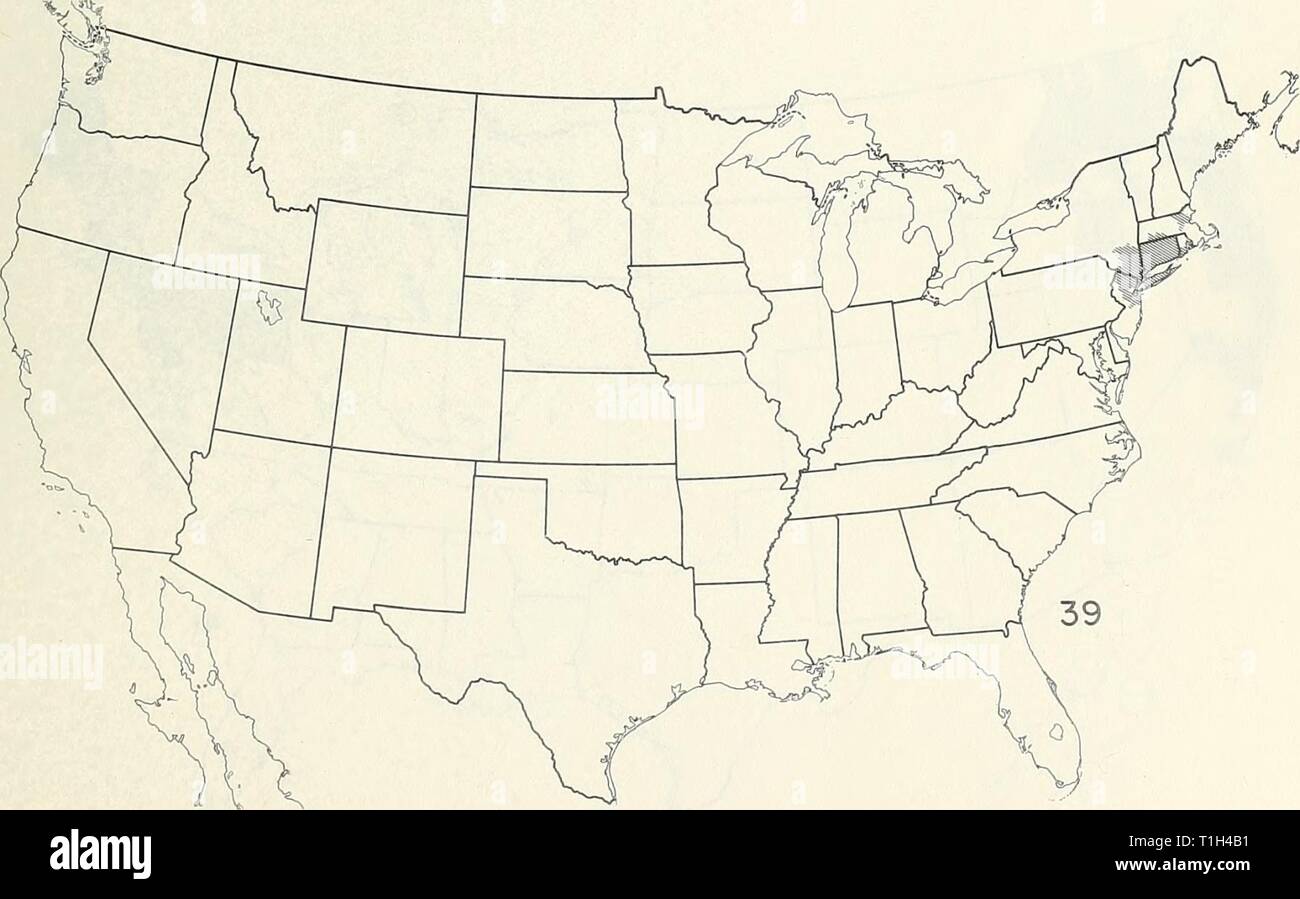 Distribution maps of some insect Distribution maps of some insect pests in the United States  distributionmaps00unit Year: 1959  Hoplocampa testudinea (European apple sawfly) Stock Photo