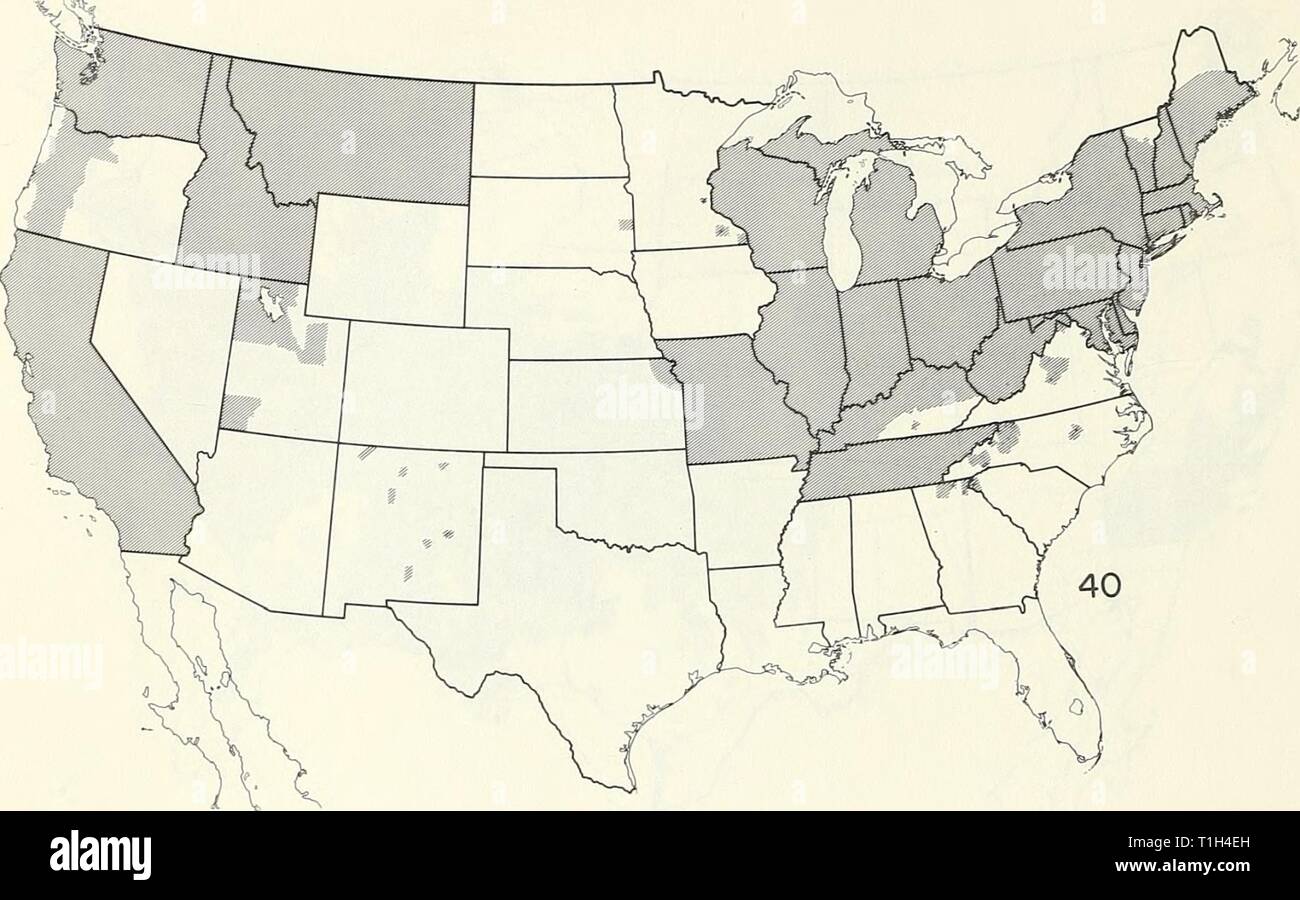 Distribution maps of some insect Distribution maps of some insect pests in the United States  distributionmaps00unit Year: 1959  - 22 - FRUIT INSECTS Panonychus ulmi (European red mite)    Psylla pyricola (pear psylla) Stock Photo