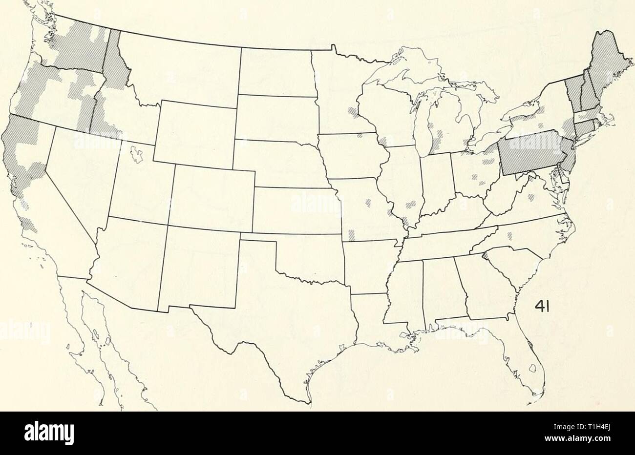 Distribution maps of some insect Distribution maps of some insect pests in the United States  distributionmaps00unit Year: 1959  Psylla pyricola (pear psylla) Stock Photo