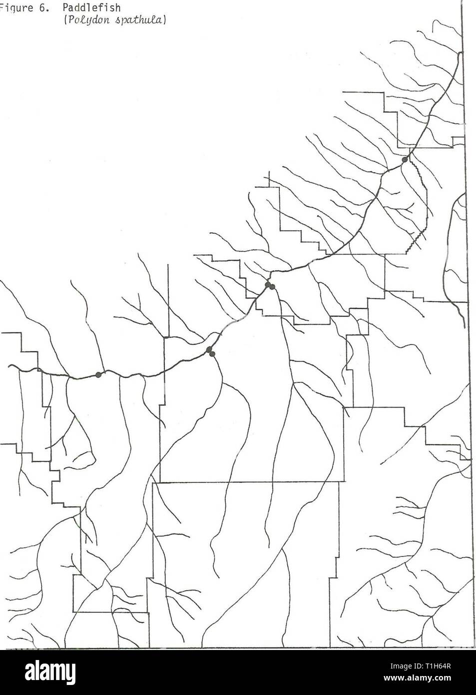 Distribution of fishes in southeastern Distribution of fishes in ...
