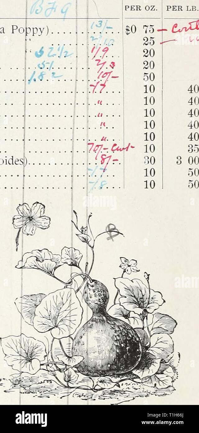D M Ferry & Co's D. M. Ferry & Co's wholesale list of seeds for 1892  dmferrycoswholes1892dmfe Year: 1892  'ear Shaped. Gourd, Bottle. h. Globe Amaranth,.white, (Gomphrena globosa). J/ . flesh colored, ' ' I. . .a . purple, ' ' M.. orange, ' â â¢ . . ,. . i V' ' striped, ' ' . . .i . f[.. mixed, ' ' ..q .. ... .. it.'.. Godetia rubicunda splendens, lilac and purple . : I . . 'â¢?4 ' roseo-alba, rose and white (Tom Thumb) ? Gourd, Orange ' White, egg shaped ' Siphon, or dipper '' Hercules'club .....:.... .y,y.. ' Apple shaped, striped v. ./r .h ,.-. .-v .' . '' Pear ' ringed ..! '  â¢â¢ Bo Stock Photo