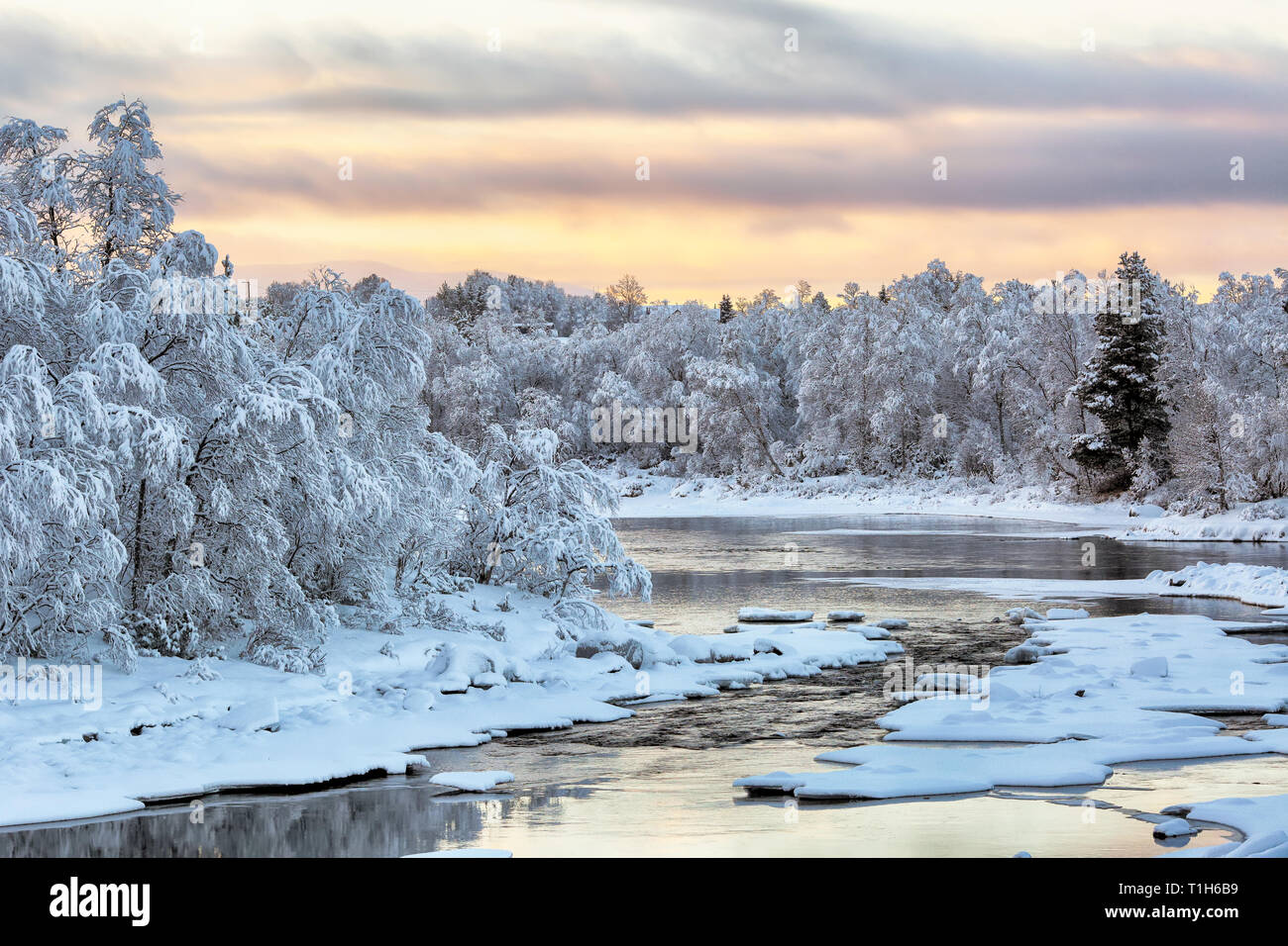 Cold winter sunrise at the norwegian river Glomma Stock Photo