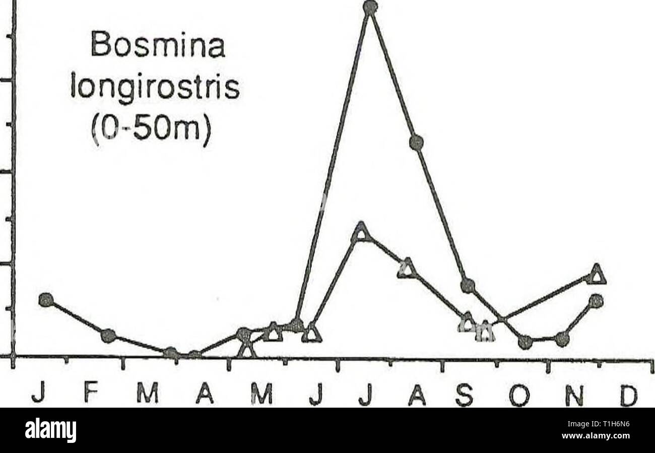 Distribution and abundance of zooplankton Distribution and abundance of zooplankton and Mysis relicta in Flathead Lake  distributionabun1991spen Year: 1991  J F M A M âI â 1 &gt; 1 1 1 J J A S O N D Month 2.5 n 2.0 CO E 151 w 'c CO P&gt; 10 i O 0.5- 0.0 â Mid-lake North â Mid-lake Deep Bosmina longirostris (0-50m)    to B o Month 4n -Aâ Mid-lake North 'â¢â Mid-lake Deep Cyclopoid copepods (0-50m) Stock Photo