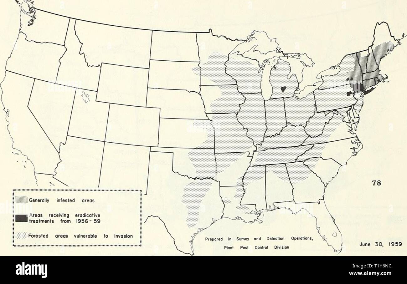 Distribution maps of some insect Distribution maps of some insect pests in the United States  distributionmaps00unit Year: 1959  - 42 - SOME INSECTS AND NEMATODES UNDER STATE OR FEDERAL REGULATION Porthetria dispar (gypsy moth)    Solenopsis saevissima richteri (imported fire ant) Stock Photo