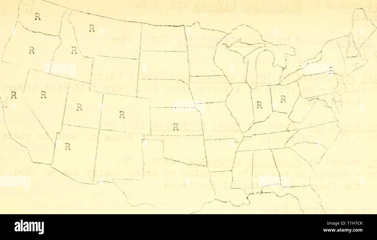 Diseases of forest and shade Diseases of forest and shade trees, ornamental and miscellaneous plants in the United States in 1921  diseasesofforest23mart Year: 1922  43     Fic,. 54- Geographical distribution of poplar canker caused by Cytospora chnsosperna (FcrsO Fr. in tiie U. S., as reported to Hie Plant Disease Survey. European canker caused by Dothichiza populea Sacc. Connecticut - more prevalent â¢J-.an in previous years. Minnesota - weather relations were dry and hot; disease cormon. Illinois (RBM) .nthracncse caused by ?!arssonia pcpuli (Lib.) Sacc. ''ev; York rev; Jersey - abundant. Stock Photo