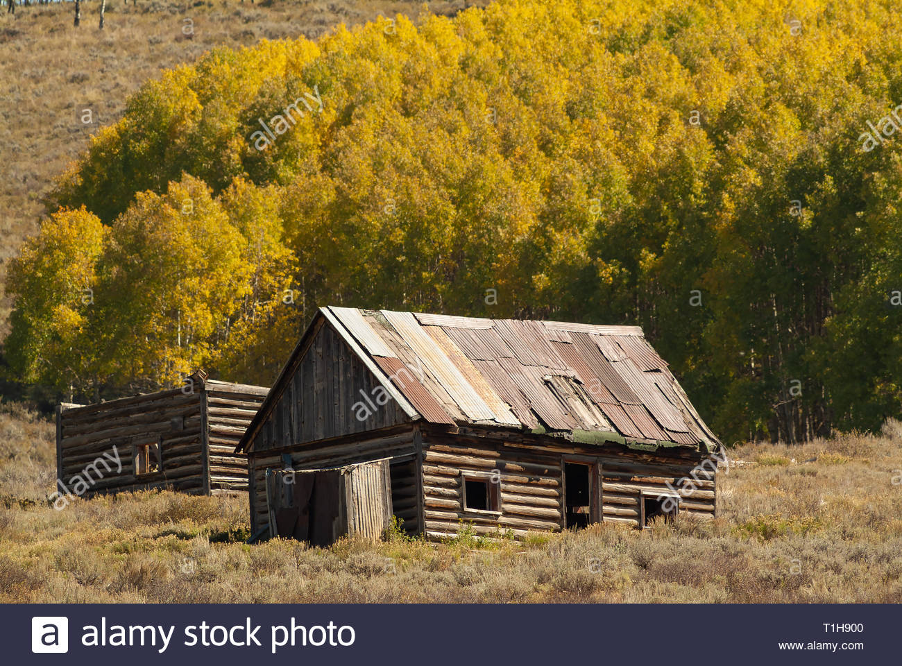 An Abandoned Mining Cabin At The Ghost Town Of Baldwin Colorado
