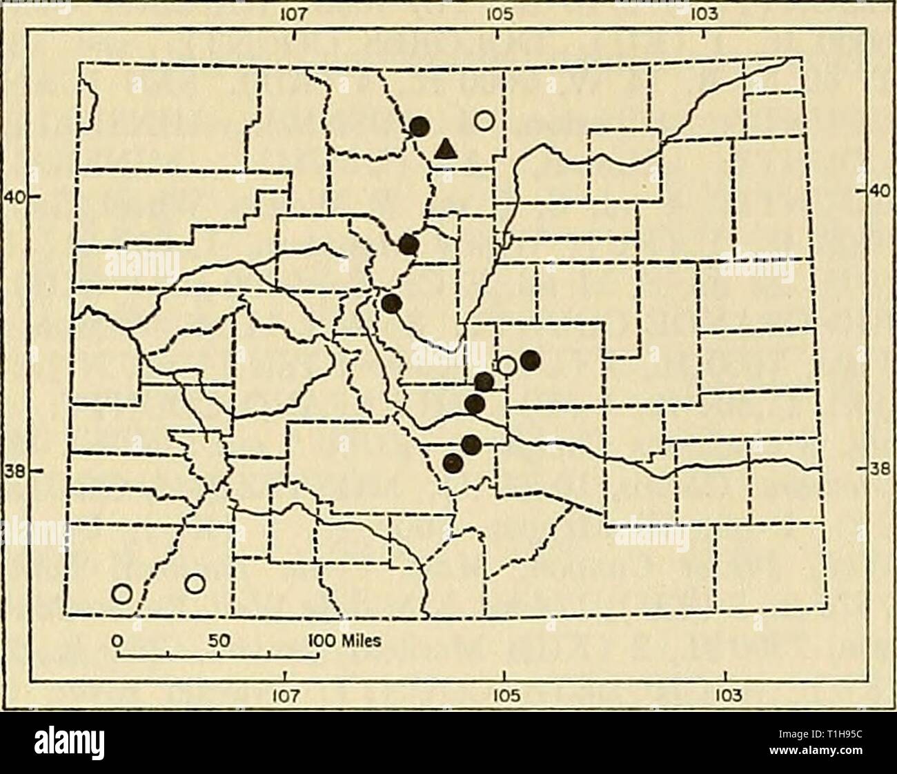 Distribution of mammals in Colorado Distribution of mammals in Colorado  distributionofma31972arms Year: 1972  48 MONOGRAPH MUSEUM OF NATURAL HISTORY NO. 3    Fig. 12. Distribution of Sorex nanus in Colorado. For explanation of symbols, see p. 9. from western Larimer County, the shrews having been captured in sunken one-gallon paint cans that had been set out in conjunction with a study of the chorus frog, Pseudacris triseriata. The largest series available were obtained by B. H. Banta and students from Colorado College in the course of pit-fall sam- pling in the vicinity of Canon City. Sorex  Stock Photo