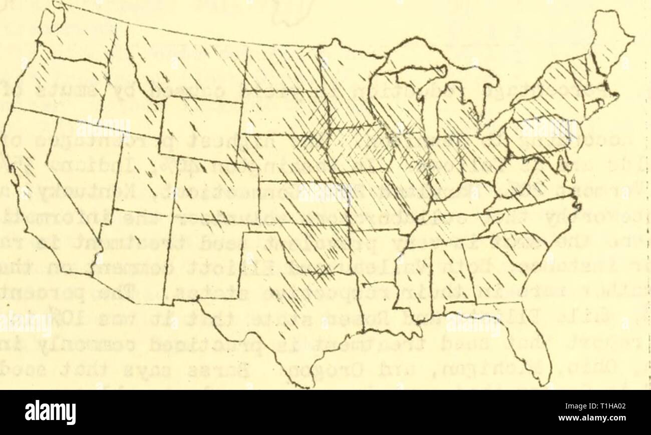 Diseases of cereal and forage Diseases of cereal and forage crops in the United States in 1921  diseasesofcereal21stak Year: 1922  OATS - Smuts 215 Powdery rrdldev/ caused by Erysiphe graminis DC. - reported to te very prevalent in Nev; York where, on account of the early warm spring, the damage reached 1., according to Kirby; cird was reported once in Oregon, in a moist draw in a field at I'oro. Leaf spoi. cdused by Septoria passerinii Sacc . This has been reported from V.'isconsin. (V.'eber, George F. Studies on Septoria diseases of cereals and certain grasses. (Abstract). Phytopath. 12: 44. Stock Photo