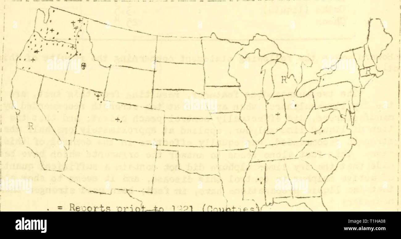 Diseases of fruit and nut Diseases of fruit and nut crops in the United States in 1921  diseasesoffruitn20hask Year: 1922  FLAOH - Blight 77 'The Coryneum blight of the poach v/as very destructive in Delta County. survey of 3 growers v/as made- and the loss ranged from 2,2: to 2yf3 vrhen it cane to mrketing the fruit, ''.r. V/. L. I.ay  v/ho took these data, estimated the loss in that county could have been put at -20,000. The past year v/as very v.et in ccmparison vdth pre- vious years, v/hich accounts for the sudden outbreak.'    R = Reportc prior to'll-bcality not givei + = 1921 reports (Go Stock Photo