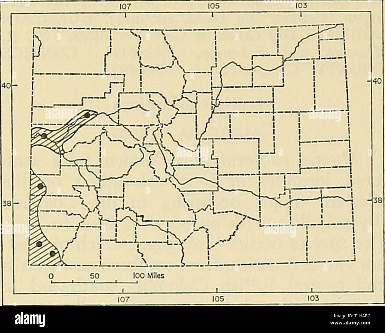 Distribution of mammals in Colorado Distribution of mammals in Colorado  distributionofma31972arms Year: 1972  64 MONOGRAPH MUSEUM OF NATURAL HISTORY NO. 3    Fig. 22. Distribution of Myotis califomicus ste- phensi in Colorado. For explanation of symbols, see p. 9. from Bedrock, Montrose County, are: 75, 33, 6, —, 32.0. For cranial measurements, see table 3. Remarks. — Stephens (1900) selected as the holotype of Myotis californicus pallidus a specimen (male, original number 2498, F. Stephens) from Vallecito, California (now USNM 99829). The holotype has had a rather involved history, reviewed  Stock Photo