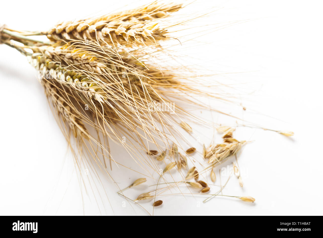 wheat ears isolated on white background Stock Photo - Alamy