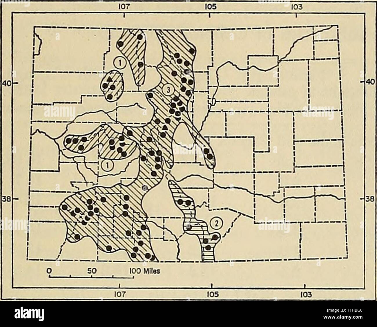 Distribution of mammals in Colorado Distribution of mammals in Colorado  distributionofma31972arms Year: 1972  1972 ARMSTRONG: COLORADAN MAMMALS 77    Fig. 32. Distribution of Ochotona princeps in Colorado. 1. O. p. figginsi. 2. O. p. incana. 3. O. p. saxatilis. For explanation of symbols, see p. 9. from Gunnison County. Dice (1927) detailed problems of maintaining pikas in captivity, and F. W. Miller (1939) described a tech- nique for capturing the animals alive. The subspecies of Ochotona princeps were revised by A. H. Howell (1924). This revi- sion is generally followed in the accounts of s Stock Photo
