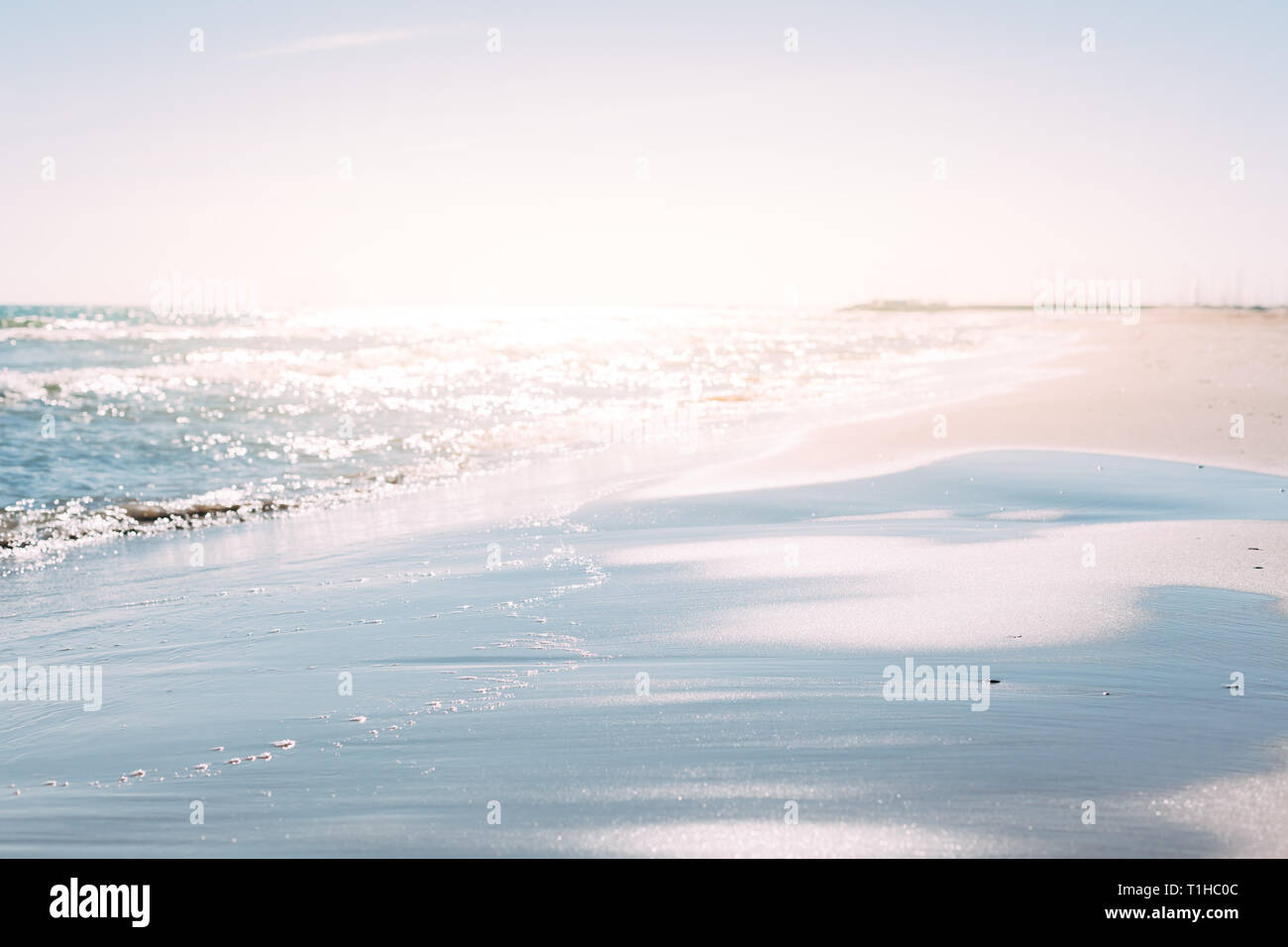 Summer Sand Beach And Seashore Waves Background Defocused