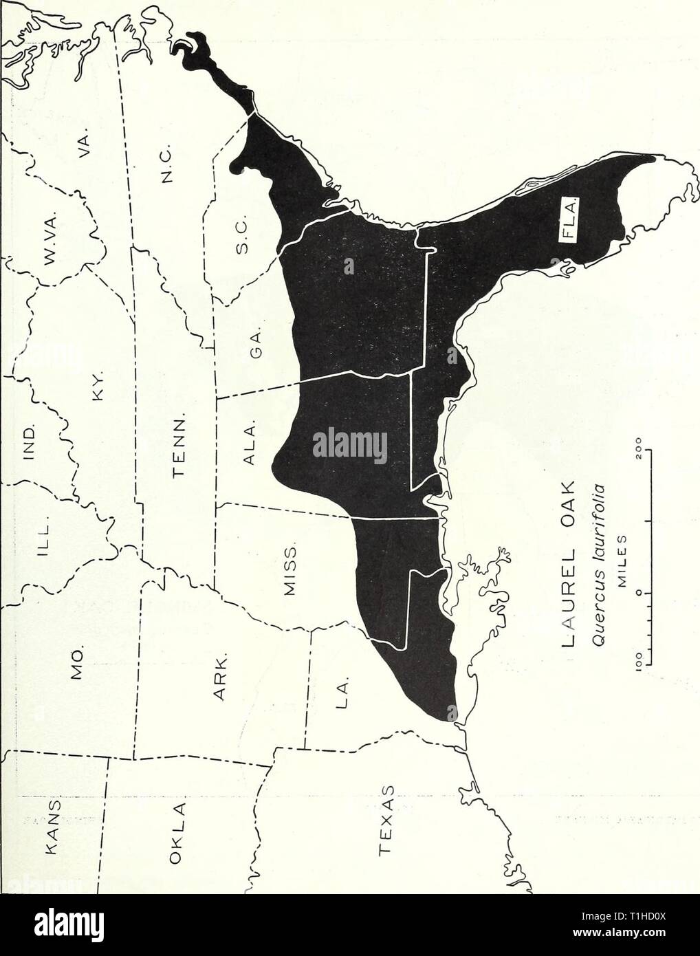 The Distribution Of Important Forest The Distribution Of Important Forest Trees Of The United States Distributionofim287munn Year 1938 109 Z Lt Lt O A 1a1 0 0 A S 0 N