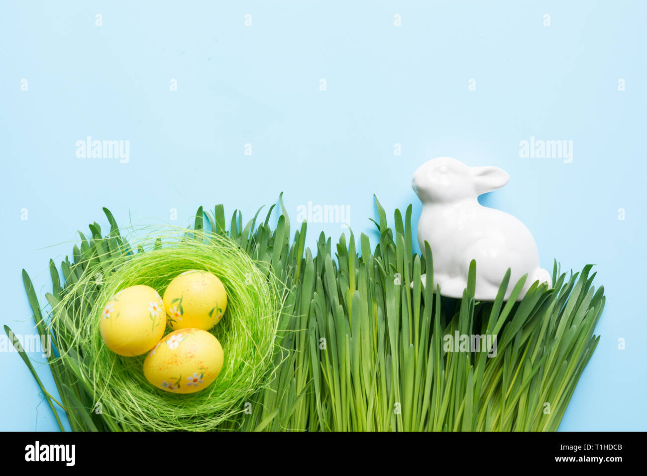 Easter colorful eggs in nest and bunny in grass. Spring composition on blue. Space for text. Stock Photo