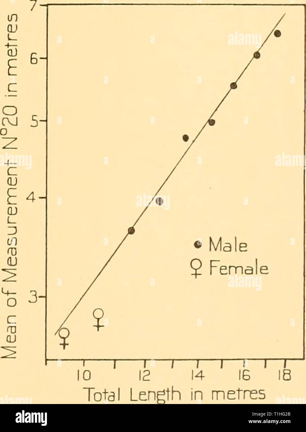 Discovery reports (1938) Discovery reports  discoveryreports17inst Year: 1938  ID 12 14 Total Length In metres Fig. 48. Sperm whale. Logarithmic plotting of total length against measurement No. 10. Notch of flukes to centre of anus. in QJ i  QJ c (1) QJ L 3 in OJ O c QJ y-| 8-  7- y G- 5- '• y T T r 1 1 • Male 9 Fennale —1—I ( 1 1 10 14 Total Lengthi in metres Fig. 49. Sperm whale. Logarithmic plotting of total length against measurement No. 11. Notch of flukes to umbilicus.    Fig. 50. Sperm whale. Logarithmic plotting of total length against measurement No. 20. Length of severed head from co Stock Photo