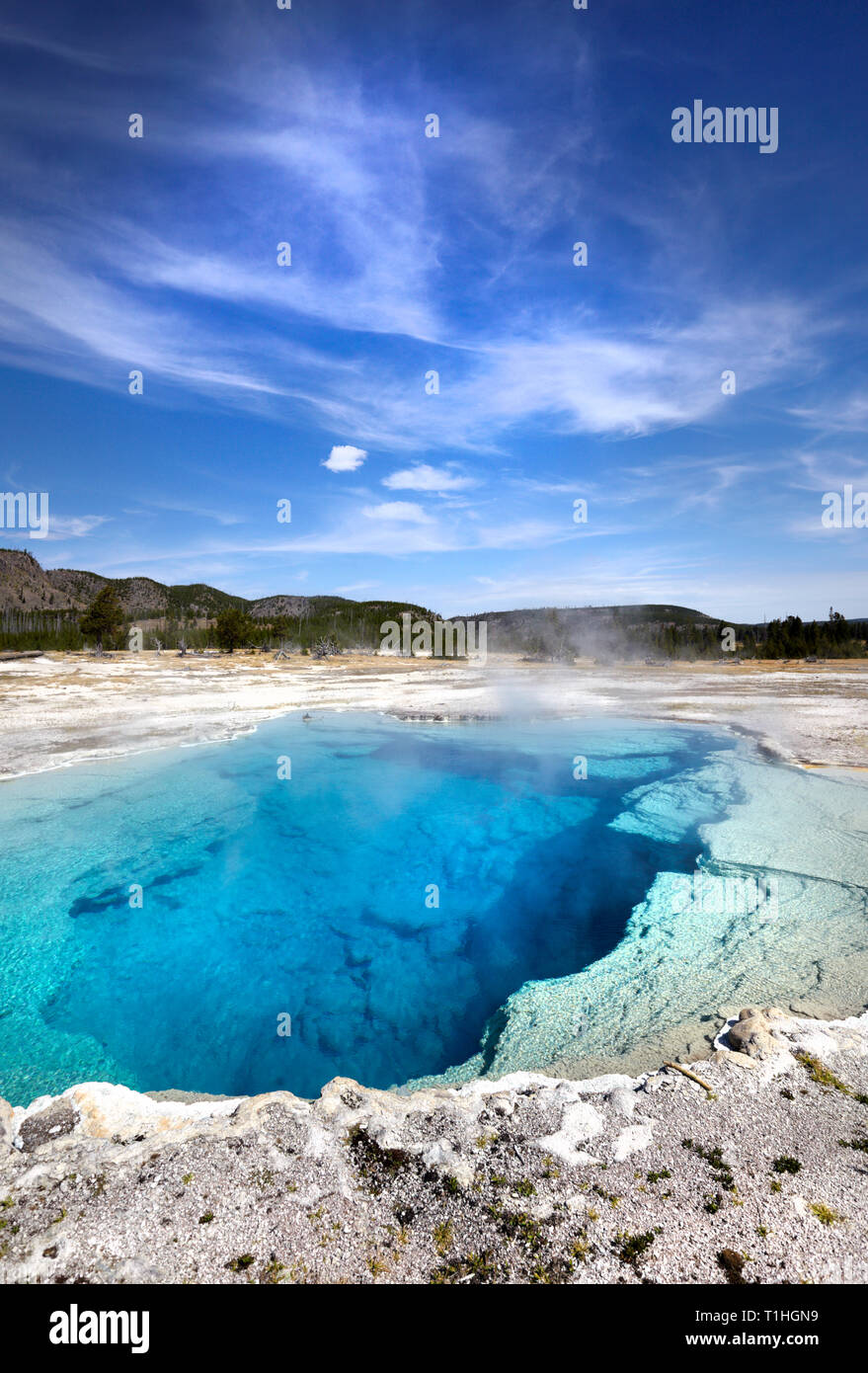 Turquoise spring, West Thumb Geyser Basin, Yellowstone National Park, America. Stock Photo
