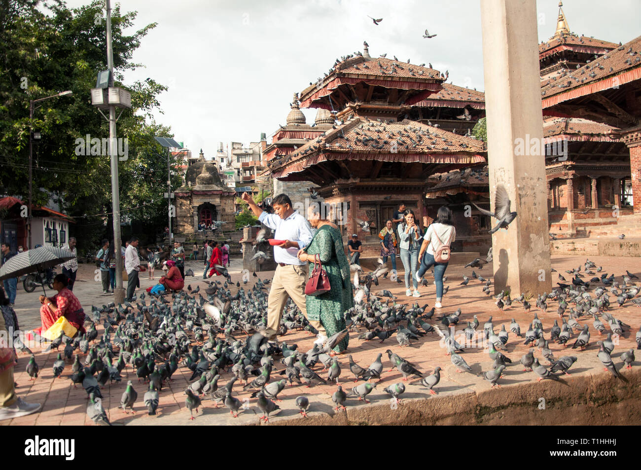 Feeding pigeons in Durbar Square, Kathmandu, Nepal Stock Photo