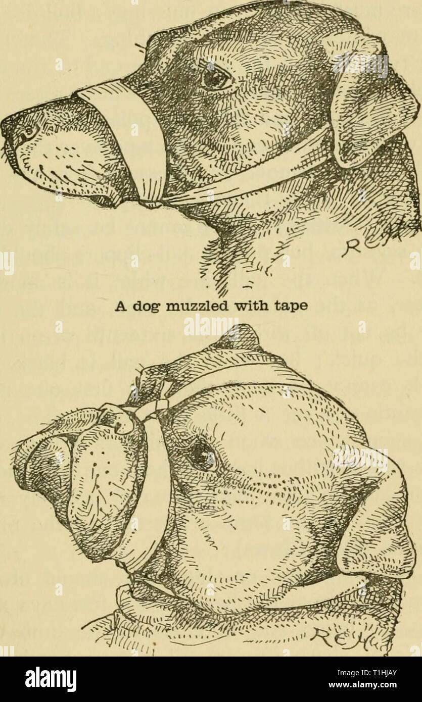 Duct tape muzzle sales
