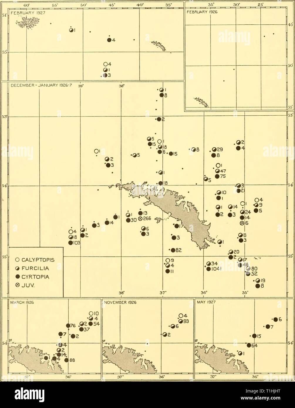 Discovery reports (1935-1936) Discovery reports  discoveryreports11inst Year: 1935-1936  2o6 DISCOVERY REPORTS    Fig. 91. Charts showing the distribution of Euphausia frigida larvae taken in N 70 V nets in the 1926-7 surveys. For hydrological and phytoplankton conditions see Figs. 2, 6, 7, 8, 38, 39 and 41. Stock Photo