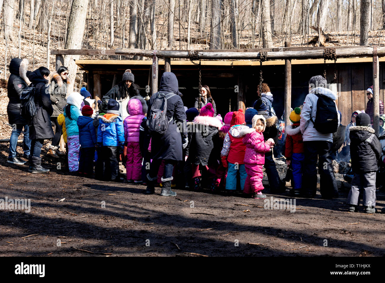 School class at maple syrup demonstration in sugar bush Ontario Canada Stock Photo