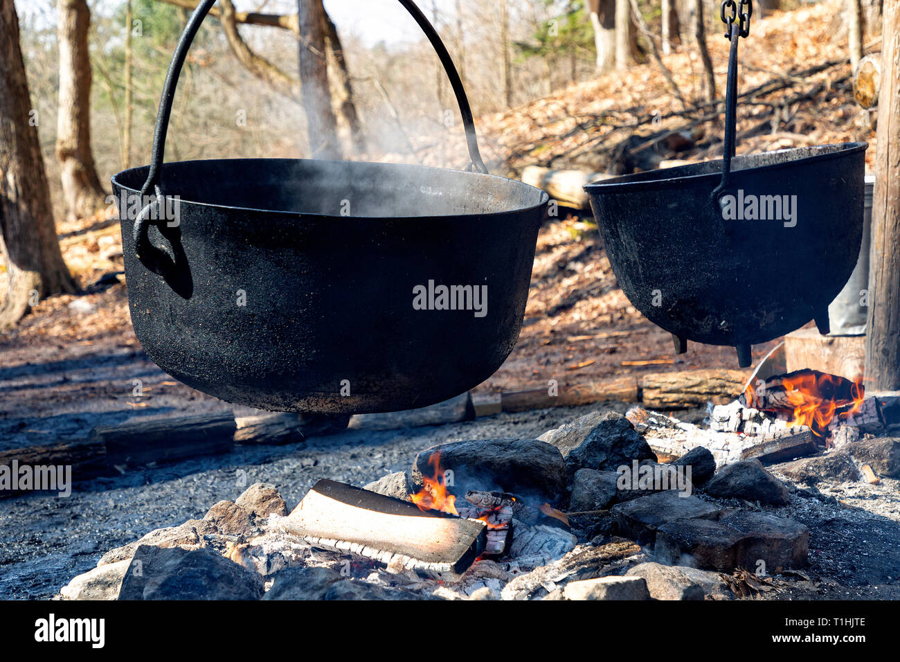 Boiling maple syrup sap on wood fire in sugar bush Ontario Canada Stock Photo